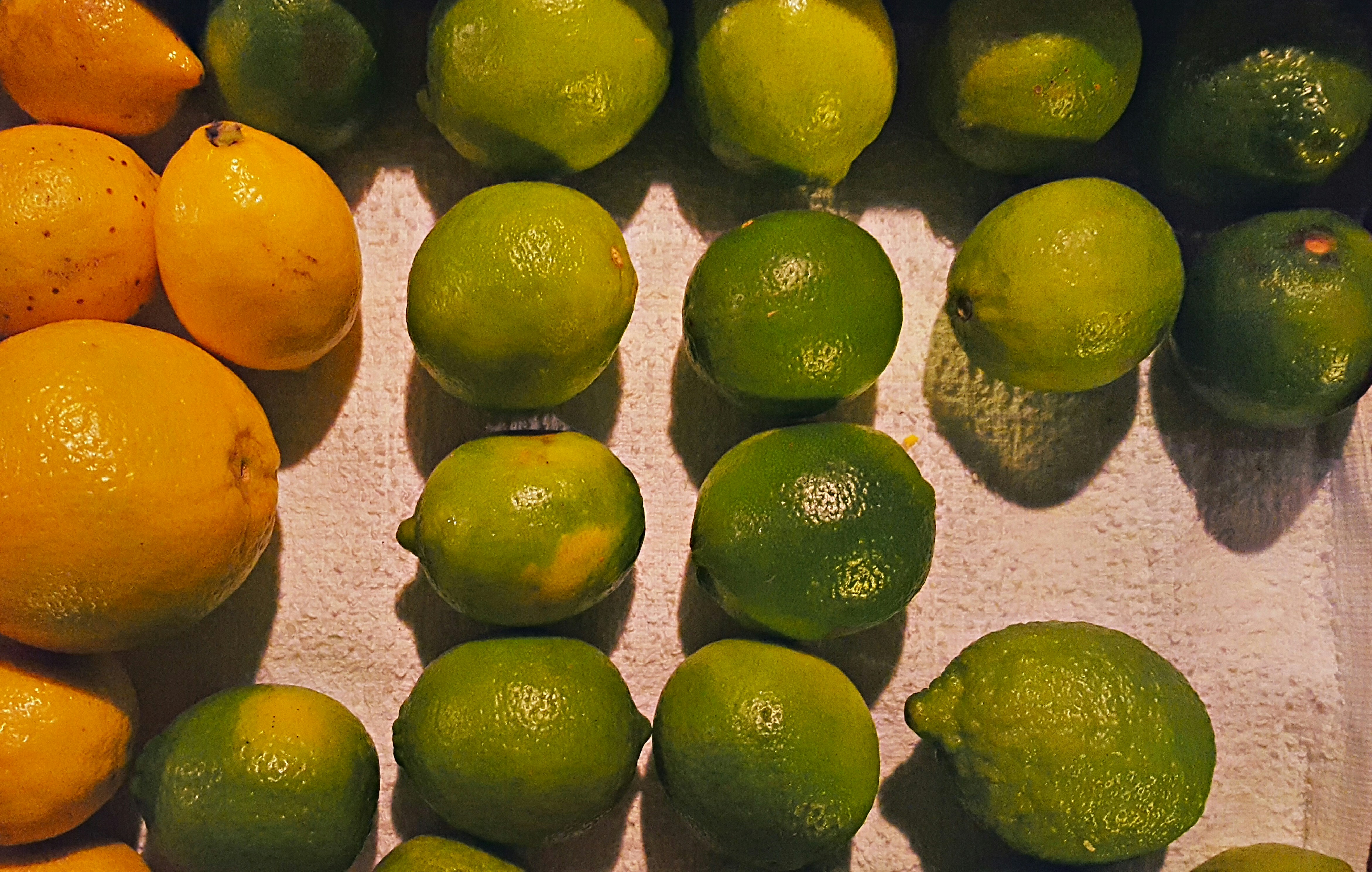 It's important when choosing fruits for garnishing that you choose the highest quality, richest color, least blemished fruits possible.
