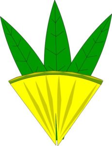 Pineapple Wedge and Leaves Garnish